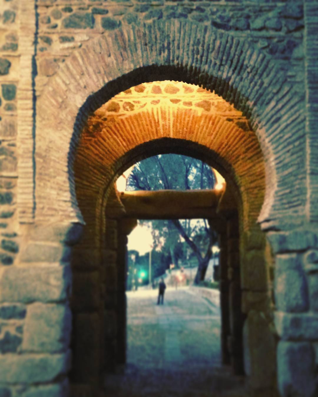 Puerta de Alfonso VI
